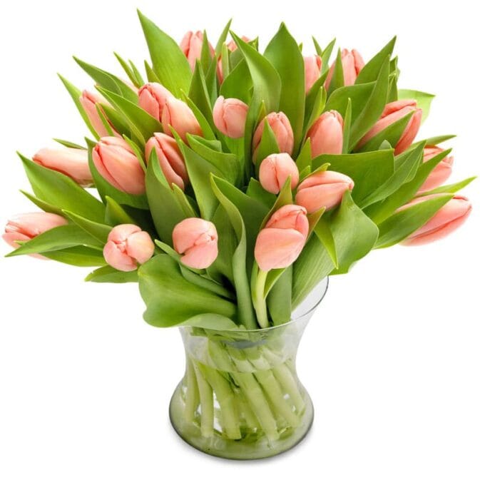 Licht roze tulpen middel