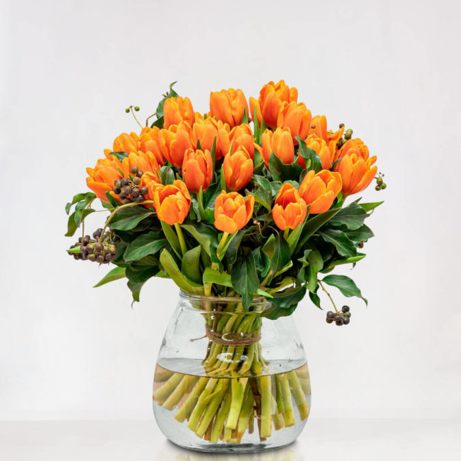 Oranje Tulpen
