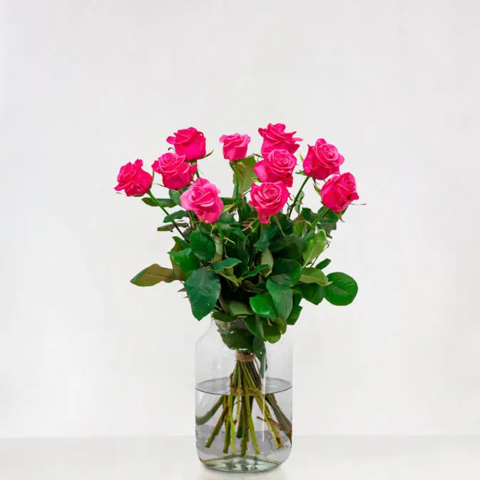 Kust Rondlopen helpen Roze rozen | Bloemen Bezorgen Amsterdam
